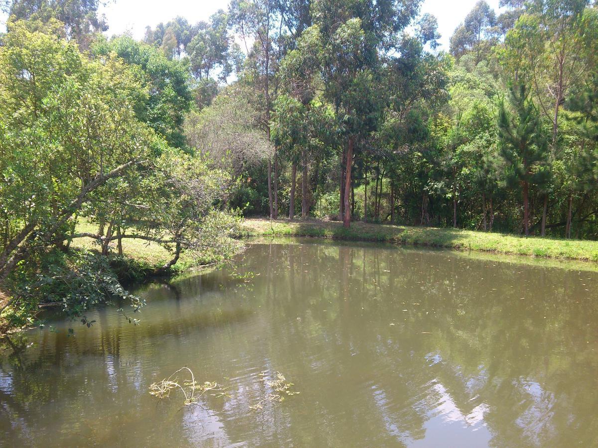 Pousada Ilhas Do Sol Senador Amaral Rom bilde